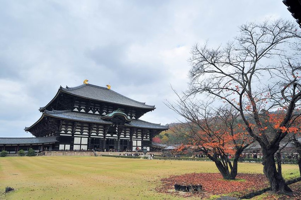 日本出差記行0260-奈良.jpg 日本出差記行0260-奈良.jpg