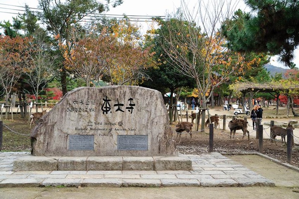 日本出差記行0319-奈良.jpg 日本出差記行0319-奈良.jpg