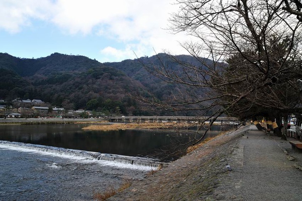 DSC_7197.jpg DSC_7197.jpg