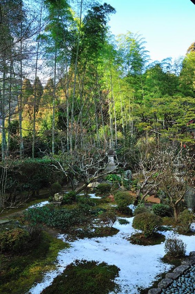 DSC_7526.jpg DSC_7526.jpg
