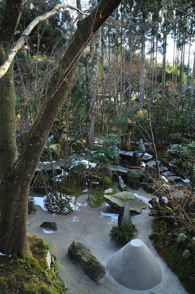 DSC_7537.jpg DSC_7537.jpg