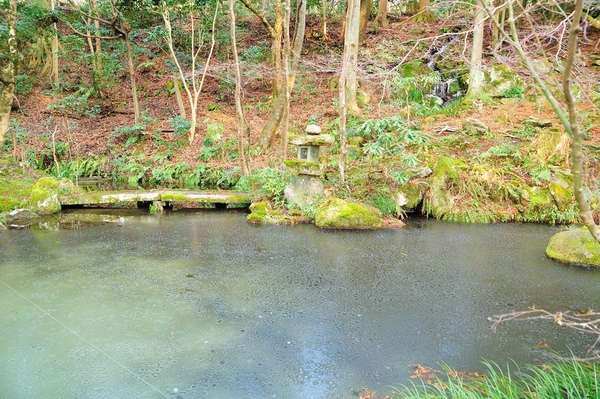 DSC_7577.jpg DSC_7577.jpg