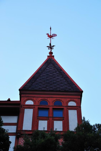 DSC_7785.jpg DSC_7785.jpg