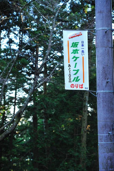 DSC_7997.jpg DSC_7997.jpg