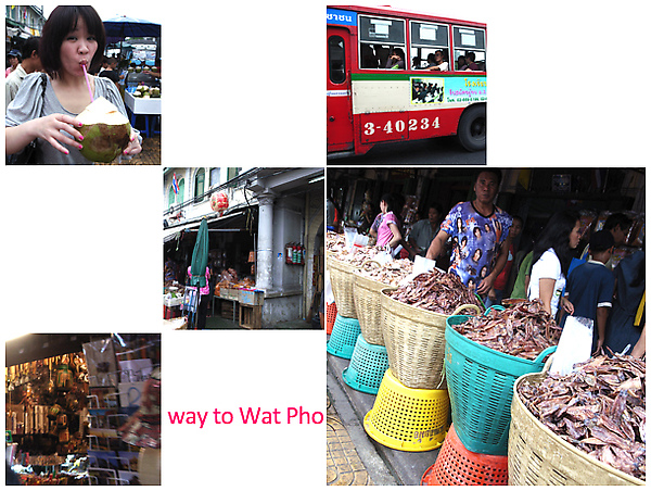 0101_way-to-wat-pho.jpg