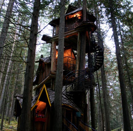 tree-house-1 tree-house-1