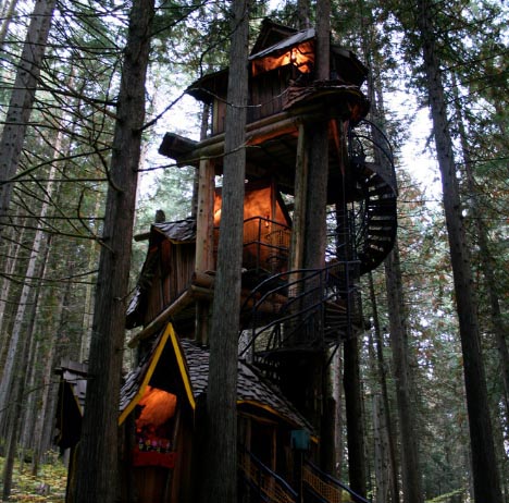 tree-house-1