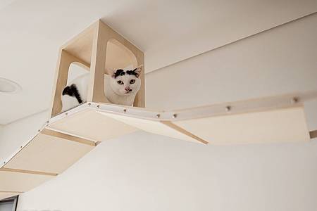 20160326_0108.jpg 20160326_0108.jpg