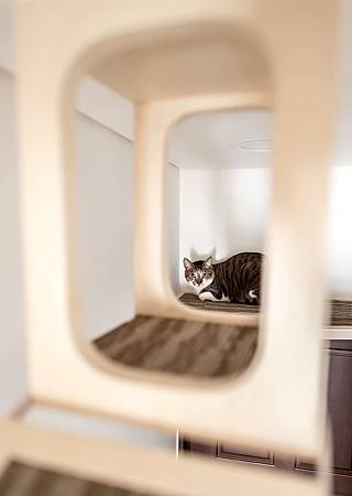 NDPS_0017.jpg NDPS_0017.jpg