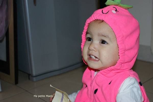 DSC06203 DSC06203
