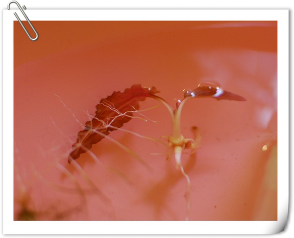 照片 005.jpg 照片 005.jpg