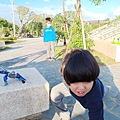 IMG20230227164517.jpg