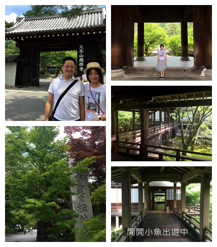 NeoImage_副本.jpg NeoImage_副本.jpg