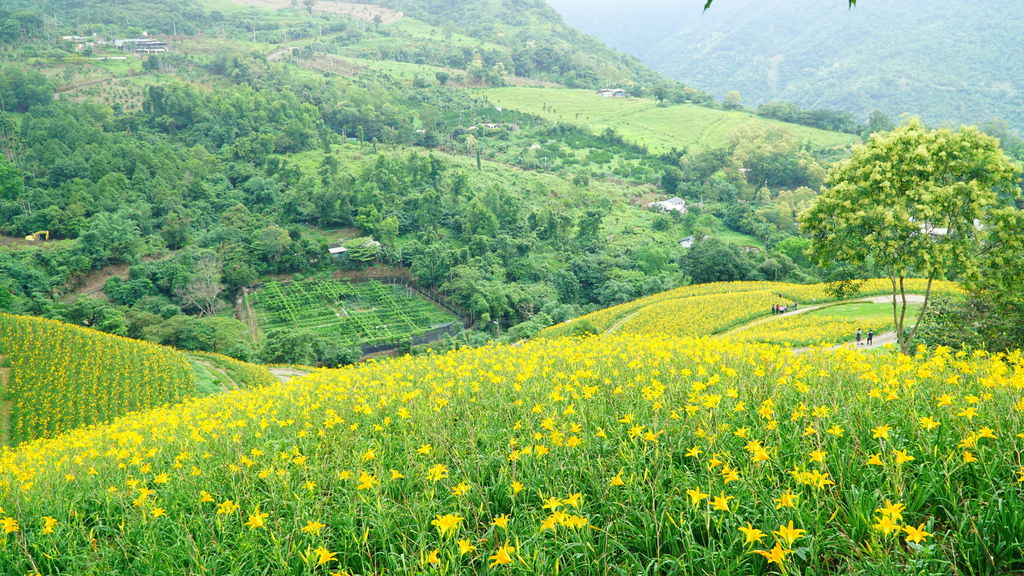 DSC07793.JPG DSC07793.JPG