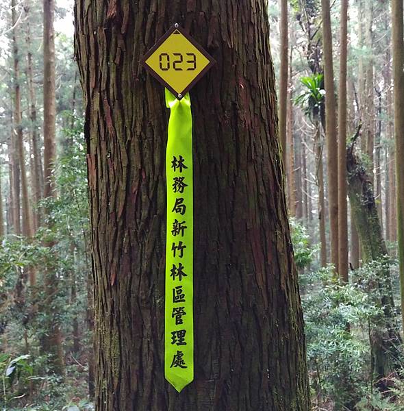 IMG_20180728_1505297 IMG_20180728_1505297