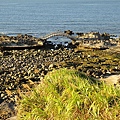 海景