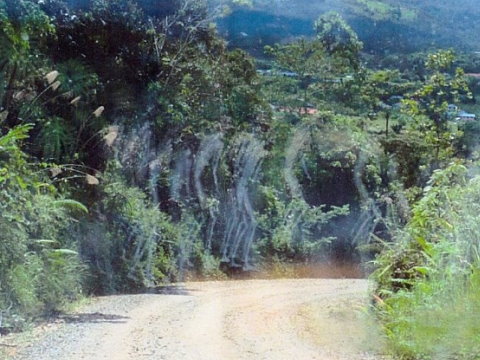 透明骷髏軍隊