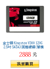 金士頓 Kingston V300 120G 2.5吋 SATA3
        固態硬碟(單機包裝)