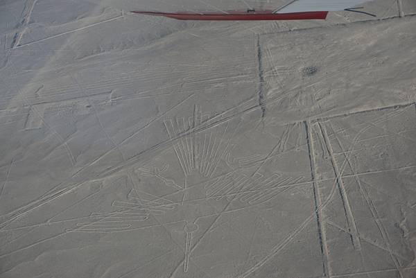 【祕魯】不可思議的納斯卡線 ~ Nazca~