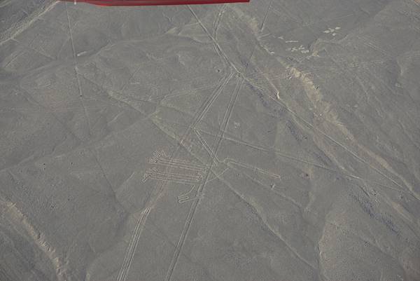 【祕魯】不可思議的納斯卡線 ~ Nazca~