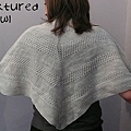 lace_Textured Shawl Recipe 披肩(二絞)4.jpg