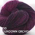 30 Sundown Orchid s.jpg