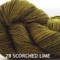 28 Scorched Lime s.jpg