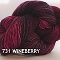 731 wineberry s.jpg
