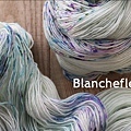 Blanchefleur 1w.jpg