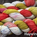 Haywire 2w.jpg