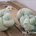 Ivy Snowbell 4w.jpg