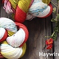 Haywire 3w.jpg