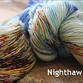 Nighthawlks 2w.jpg