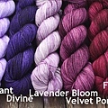 Penchant, Divine, Lavender Bloom, Velvet Port, Fancy 2w.jpg