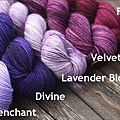 Penchant, Divine, Lavender Bloom, Velvet Port, Fancy 3w.jpg