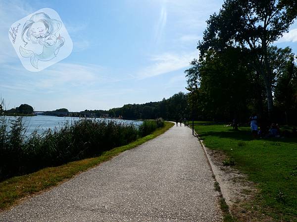 P1000649.jpg