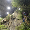 DSC00347.JPG