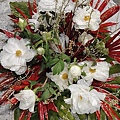 DSC00385.JPG