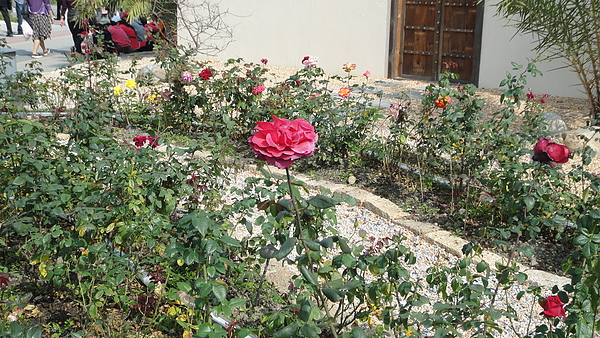 DSC00212.JPG