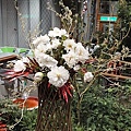 DSC00392.JPG