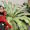 DSC00368.JPG