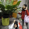 DSC00370.JPG
