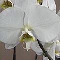 DSC00401.JPG
