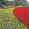 DSC00290.JPG