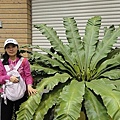 DSC00371.JPG