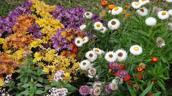DSC00248.JPG
