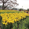 DSC00292.JPG