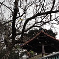 DSC00255.JPG