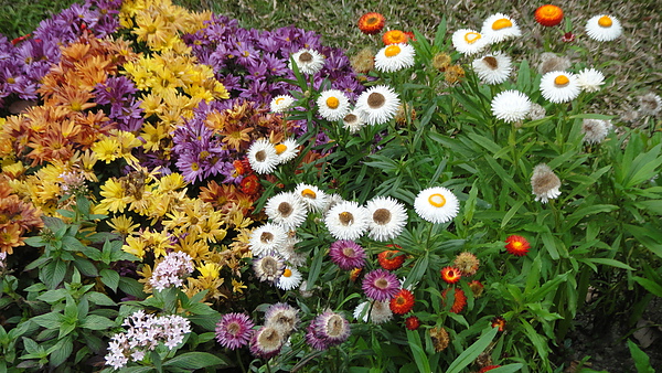 DSC00249.JPG