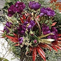 DSC00396.JPG